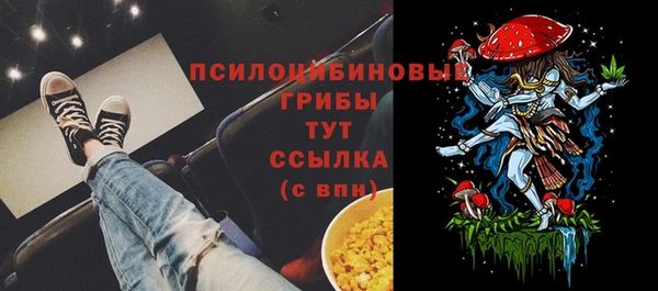 Альфа ПВП Абдулино