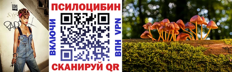 Псилоцибиновые грибы GOLDEN TEACHER  где продают наркотики  Алагир 